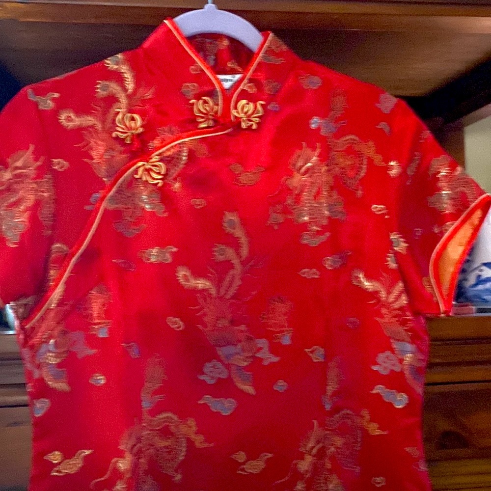 Nwot beautiful Asian Dress - Picture 2 of 3